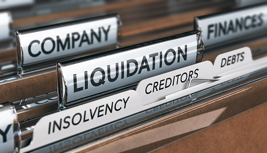 MD&A and Auditors Opinion